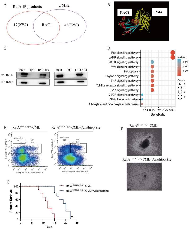 Int J Biol Sci Image