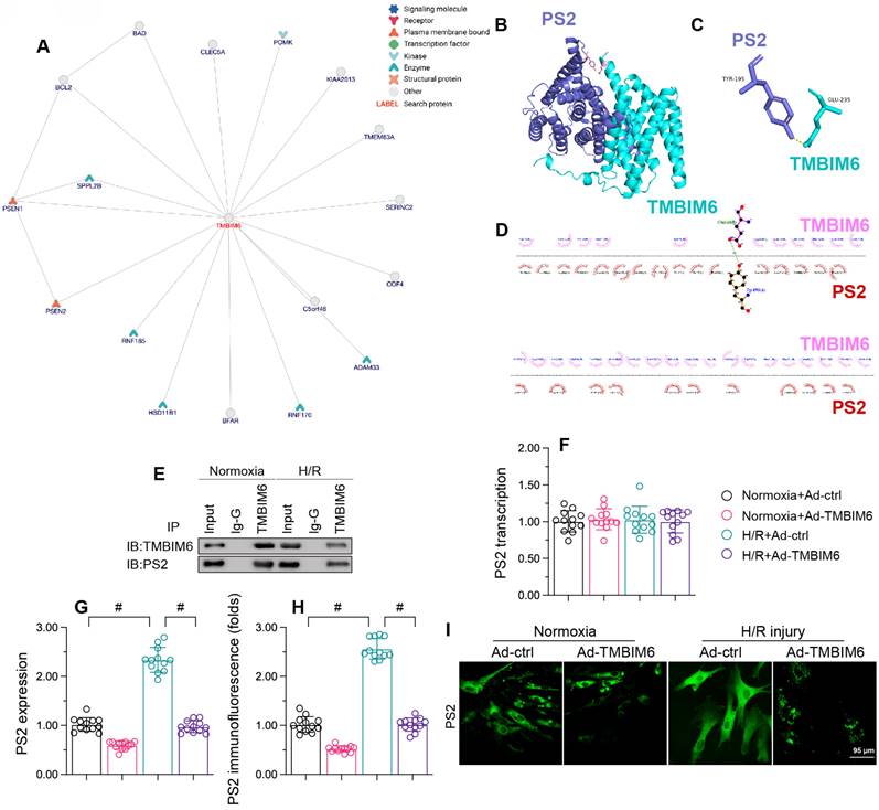 Int J Biol Sci Image