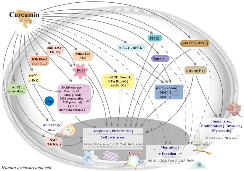 Int J Biol Sci Image