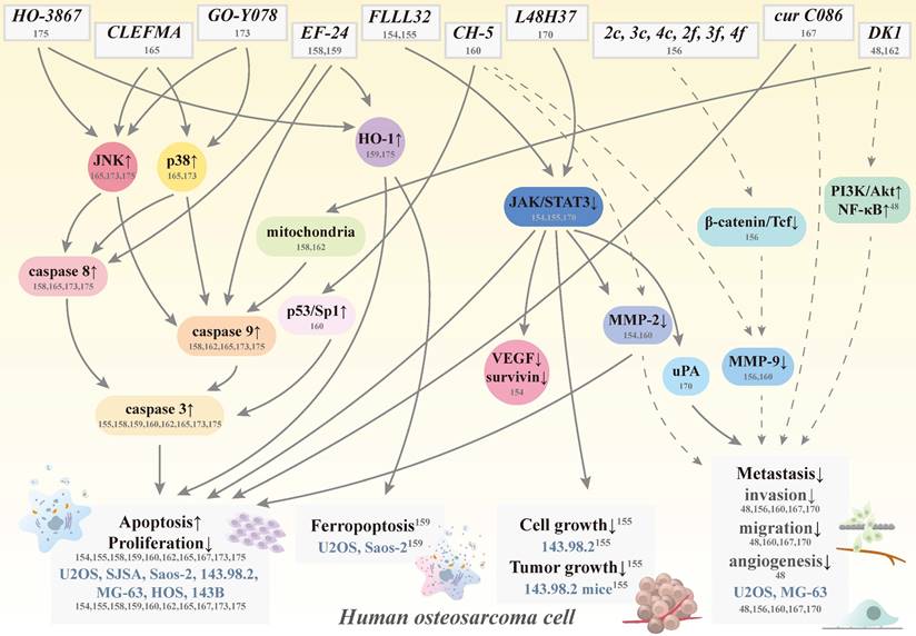 Int J Biol Sci Image