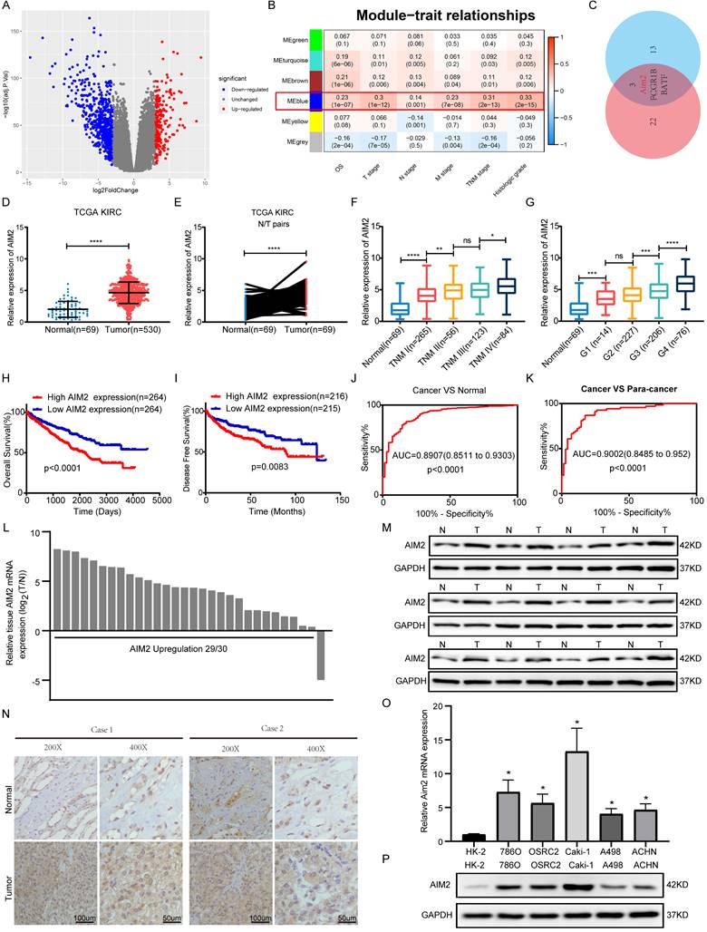 Int J Biol Sci Image