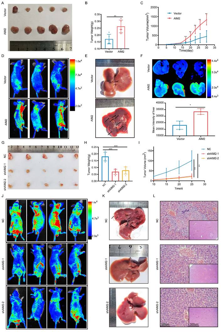 Int J Biol Sci Image