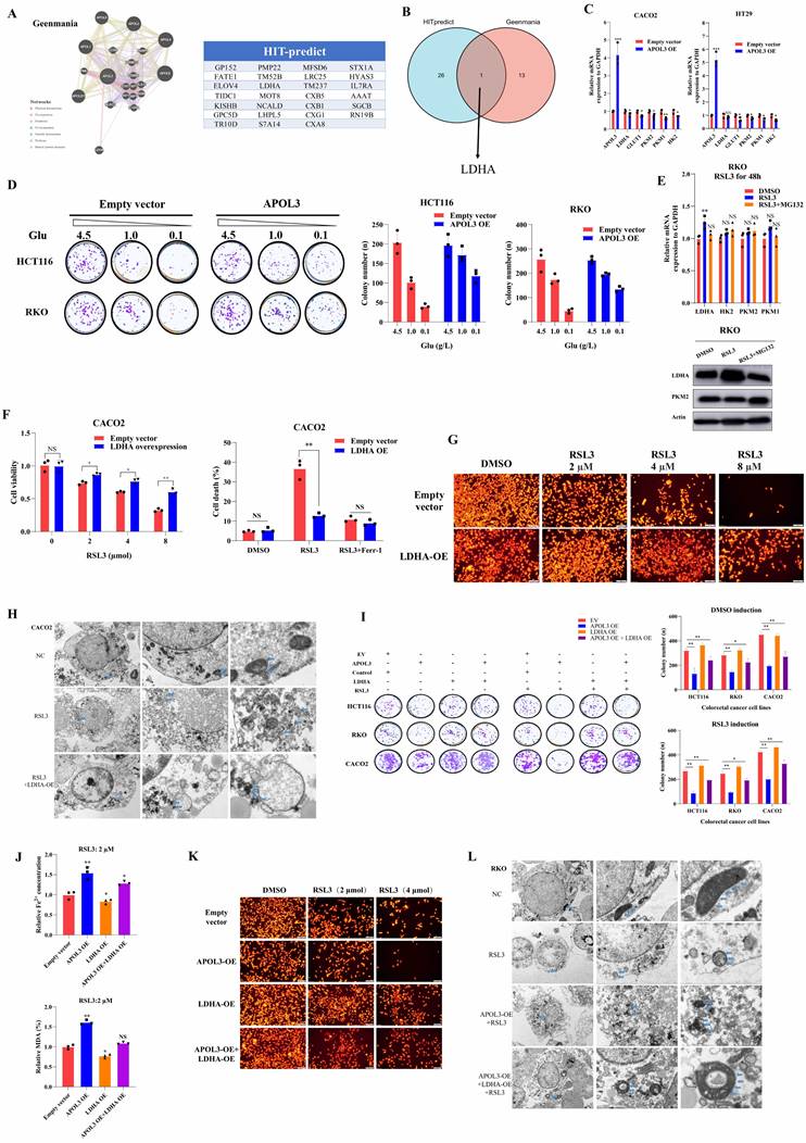 Int J Biol Sci Image