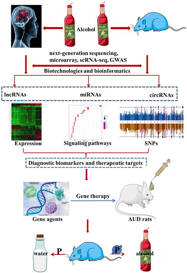 Int J Biol Sci Image