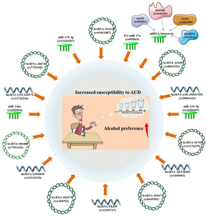 Int J Biol Sci Image