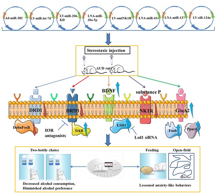 Int J Biol Sci Image