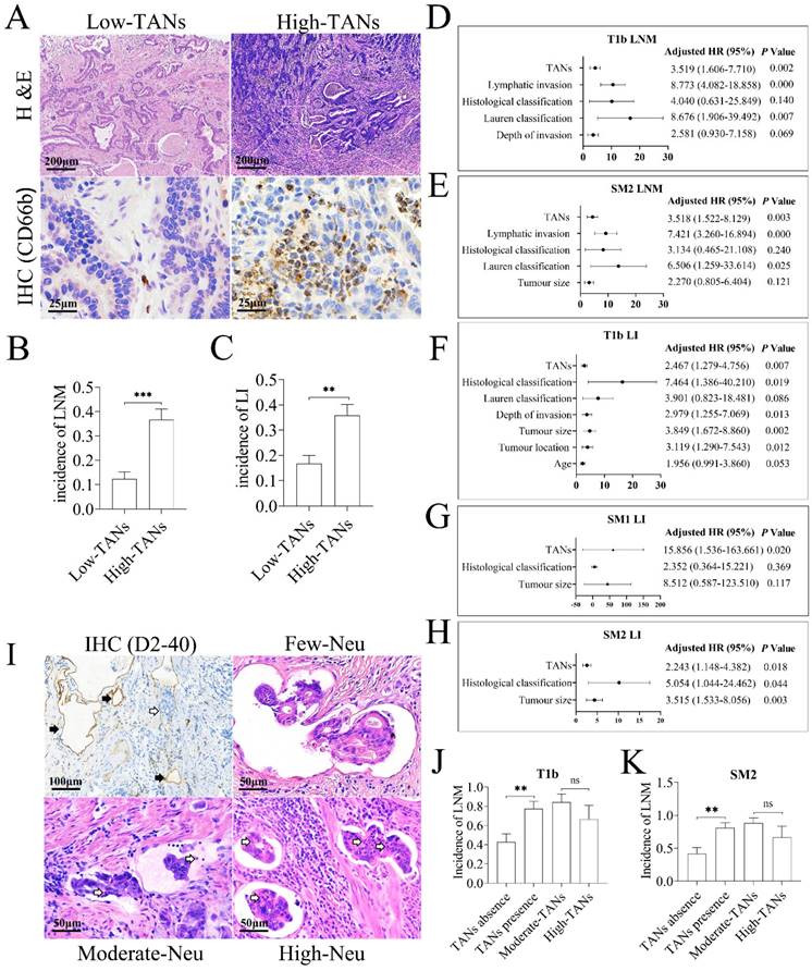 Int J Biol Sci Image