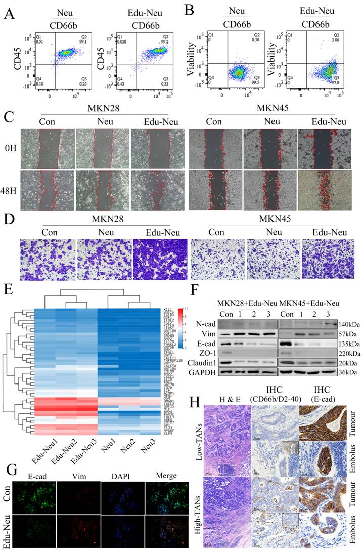 Int J Biol Sci Image