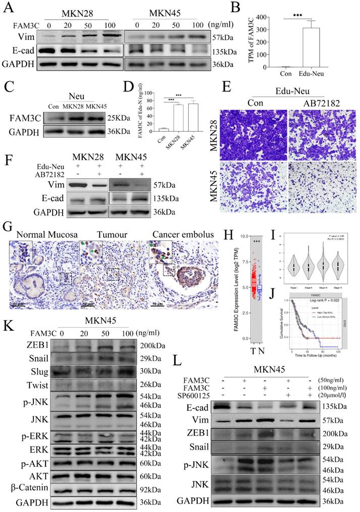 Int J Biol Sci Image