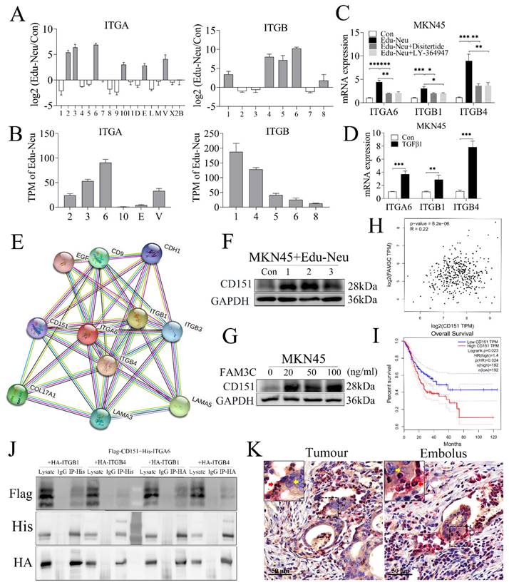 Int J Biol Sci Image