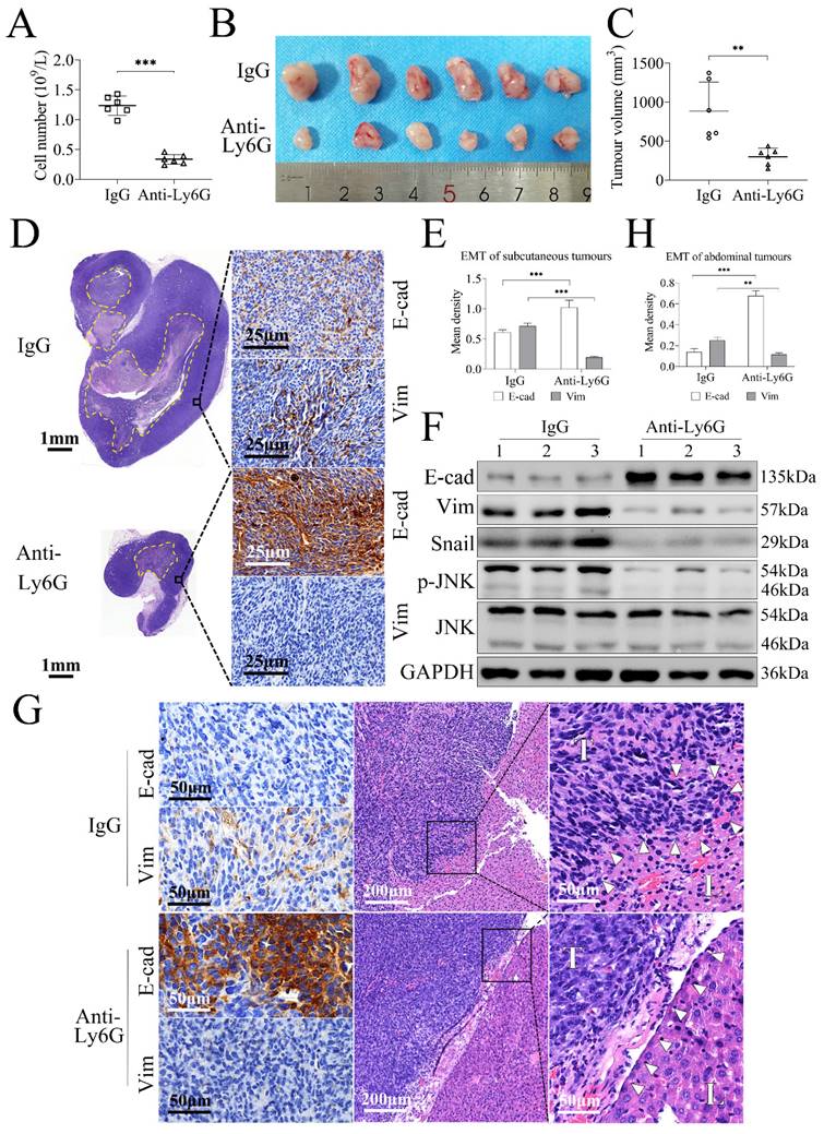 Int J Biol Sci Image