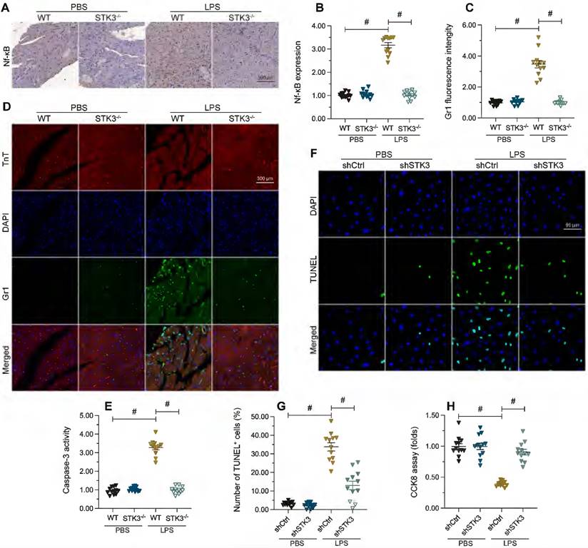 Int J Biol Sci Image