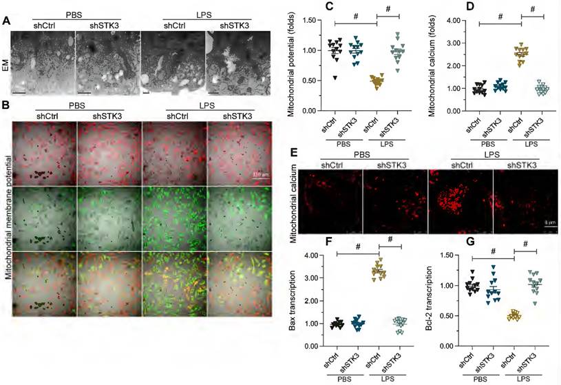 Int J Biol Sci Image