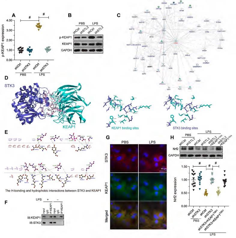 Int J Biol Sci Image