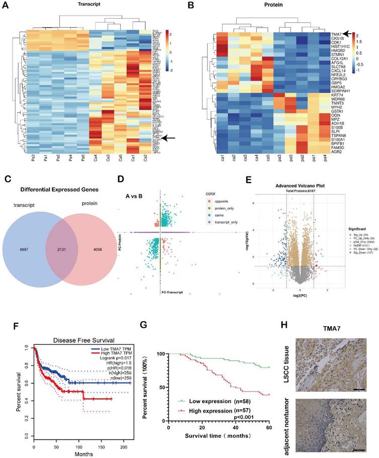 Int J Biol Sci Image