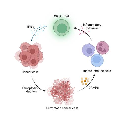 Int J Biol Sci Image