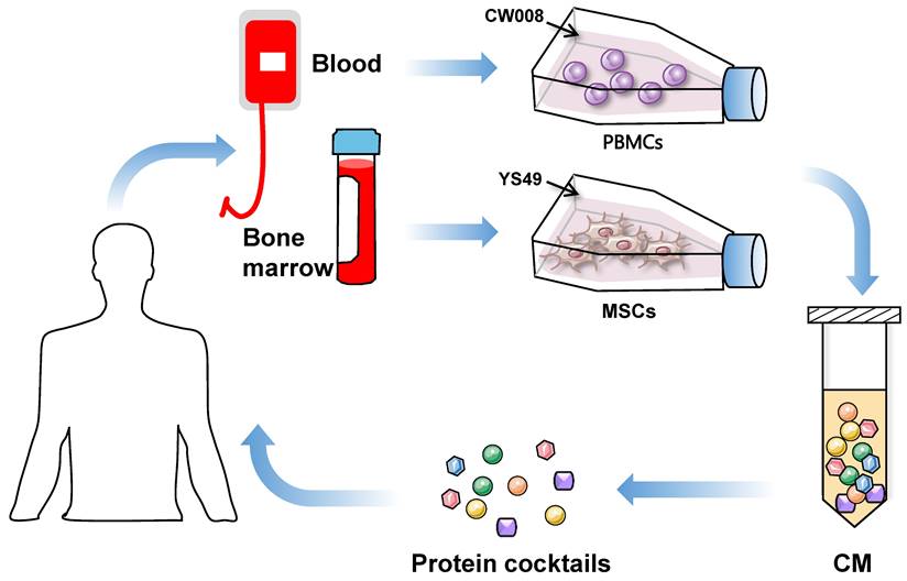 Int J Biol Sci Image