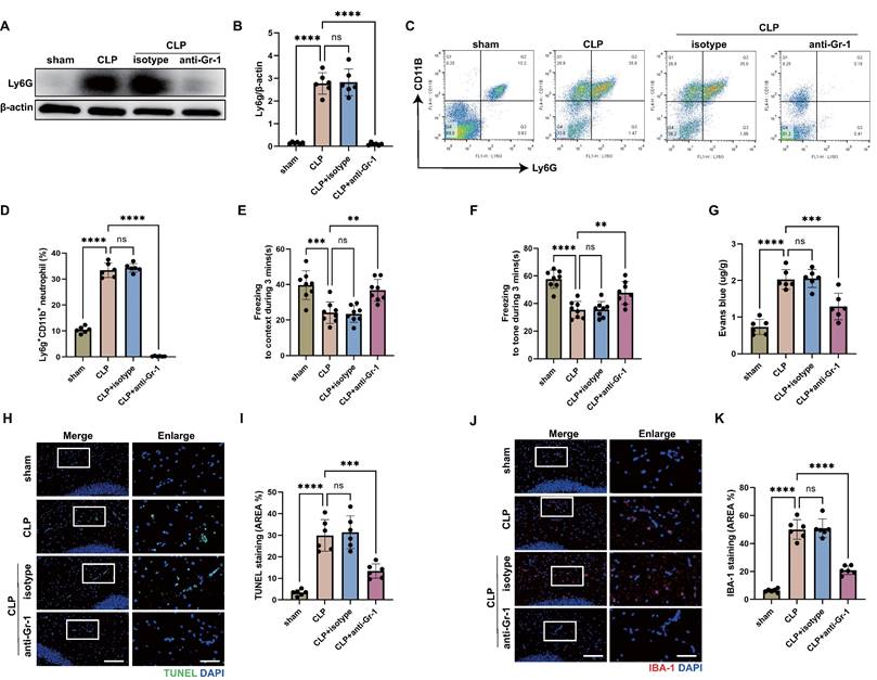 Int J Biol Sci Image