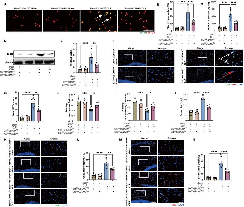 Int J Biol Sci Image