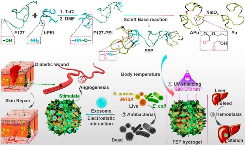 Int J Biol Sci Image