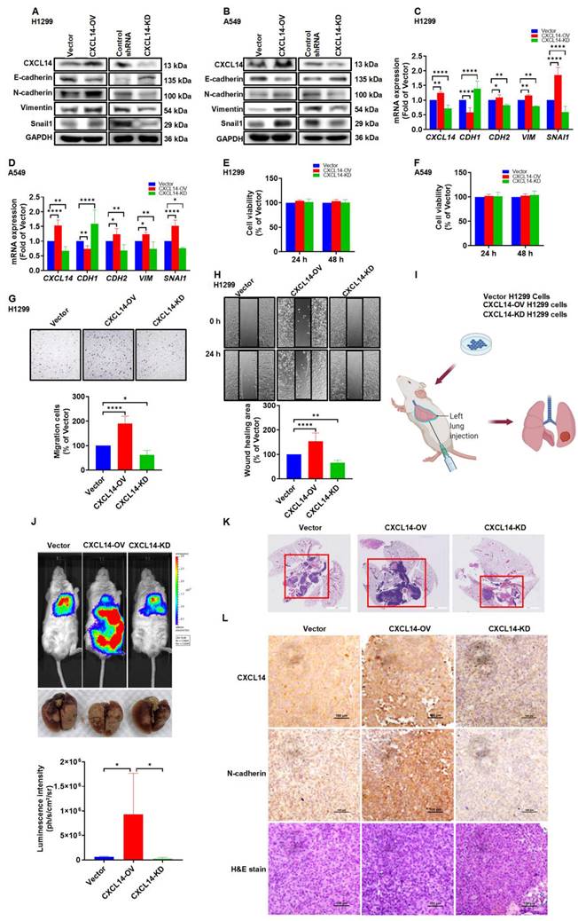 Int J Biol Sci Image