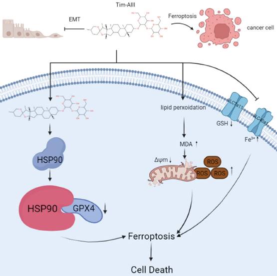 Int J Biol Sci Image