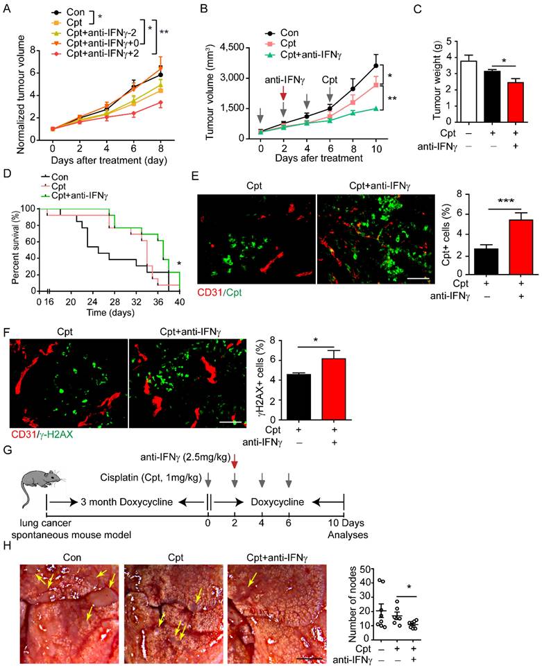 Int J Biol Sci Image