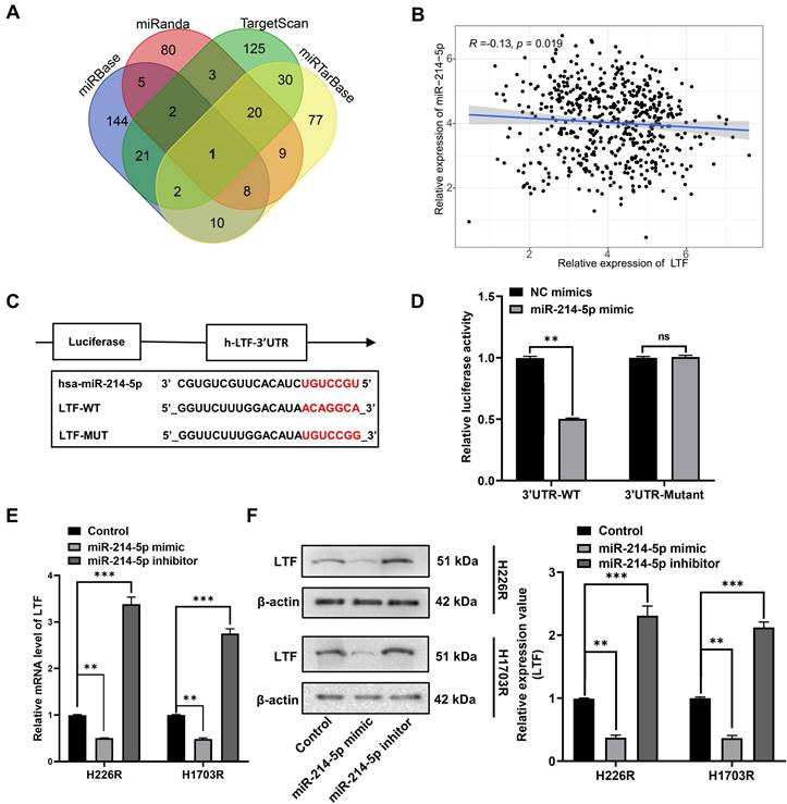 Int J Biol Sci Image