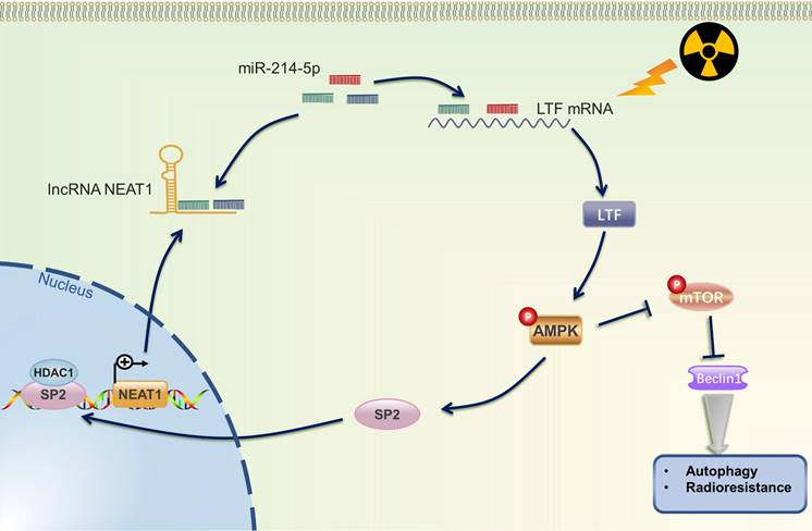 Int J Biol Sci Image