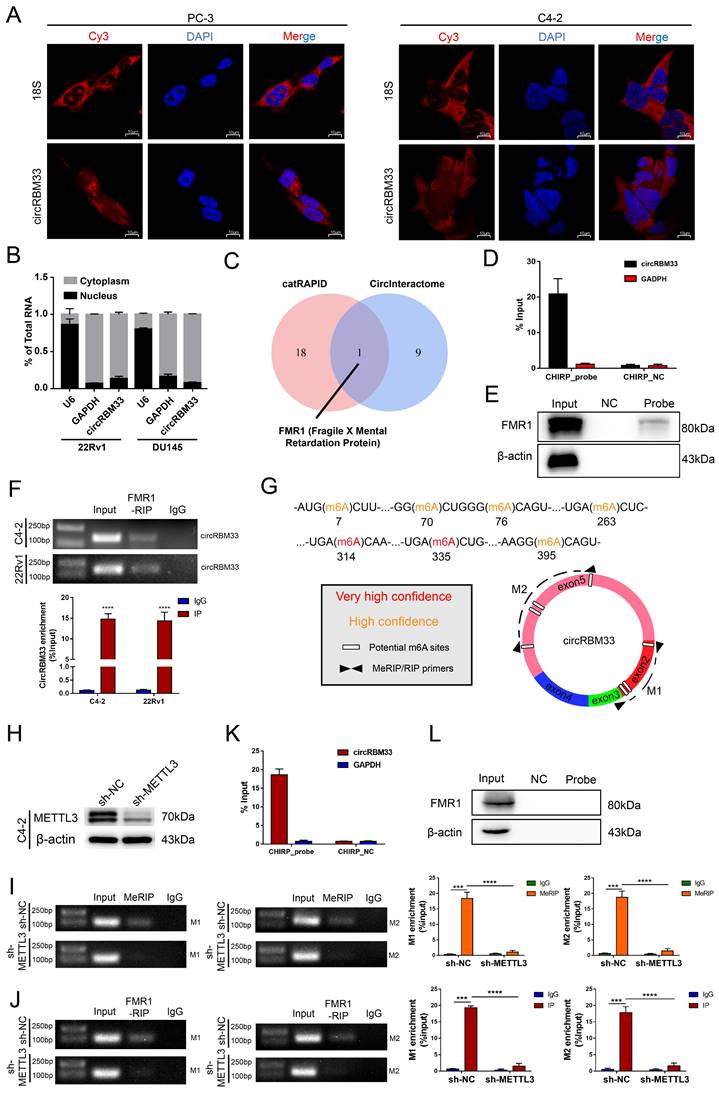 Int J Biol Sci Image