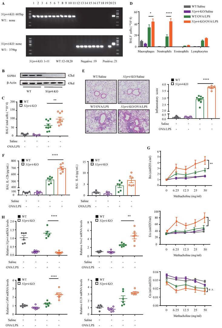 Int J Biol Sci Image