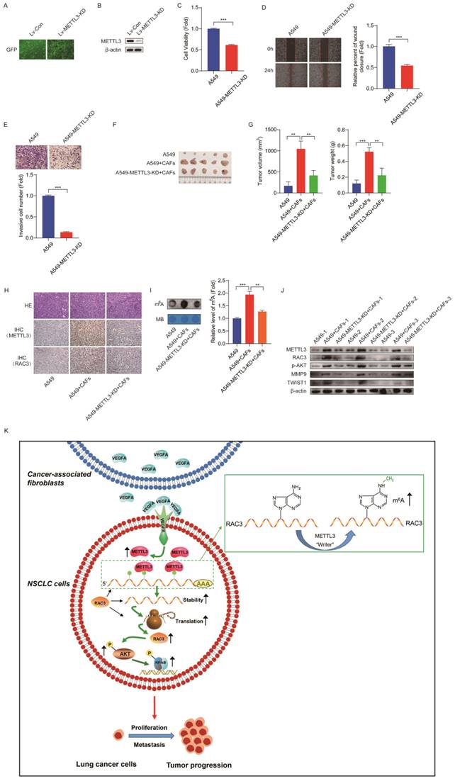 Int J Biol Sci Image