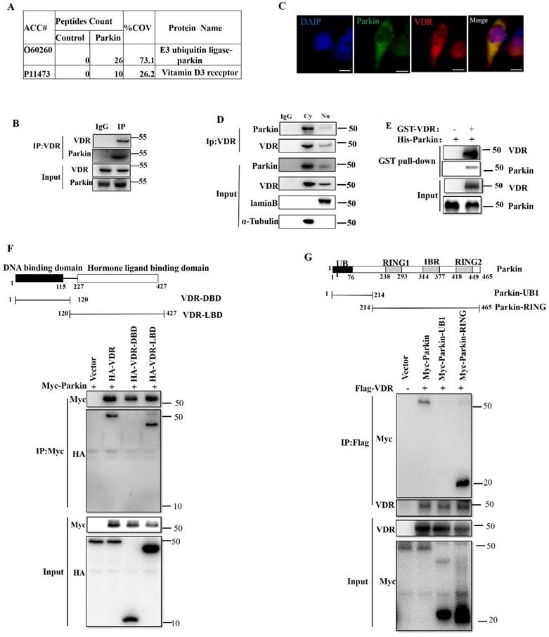 Int J Biol Sci Image