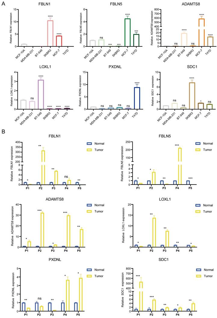 Int J Biol Sci Image