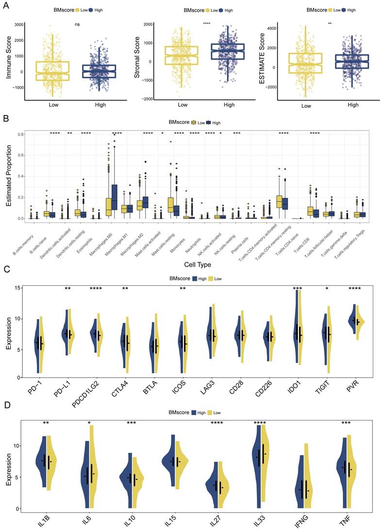 Int J Biol Sci Image