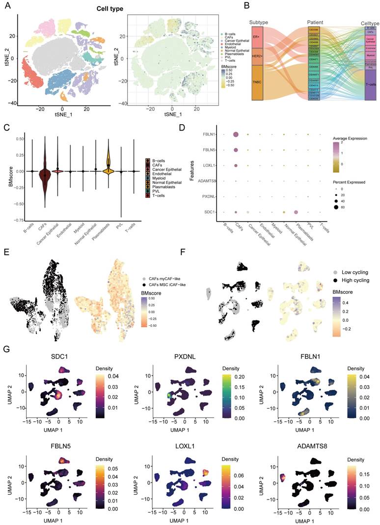 Int J Biol Sci Image