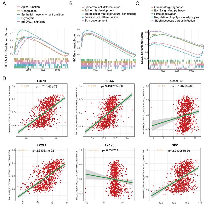 Int J Biol Sci Image