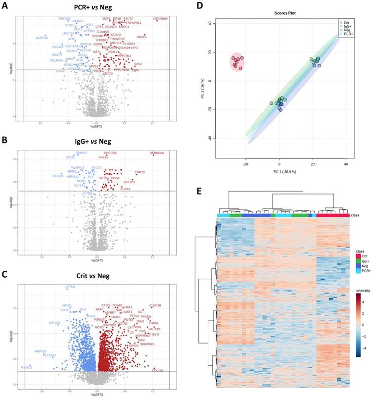 Int J Biol Sci Image