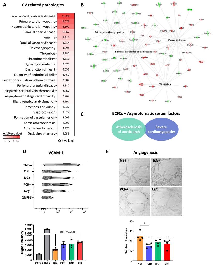 Int J Biol Sci Image