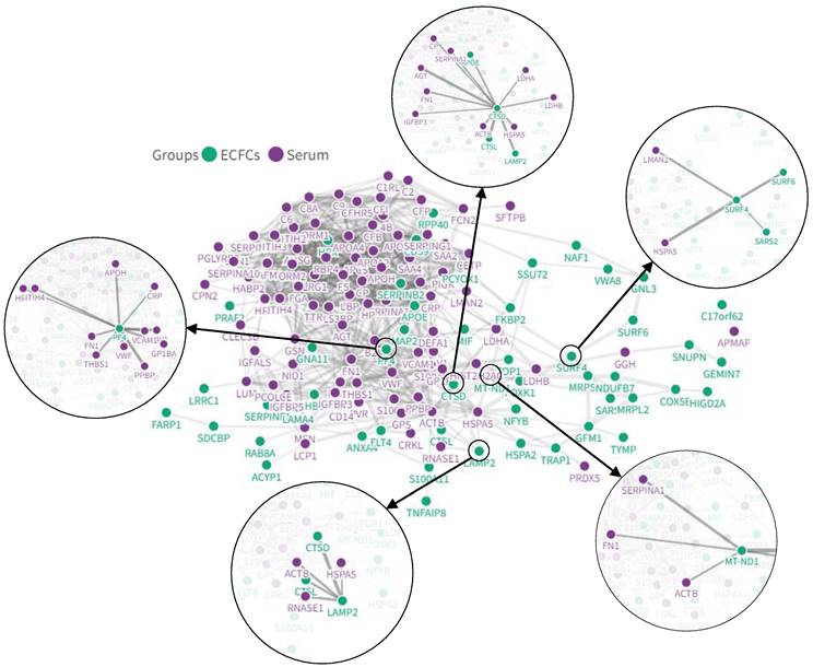 Int J Biol Sci Image