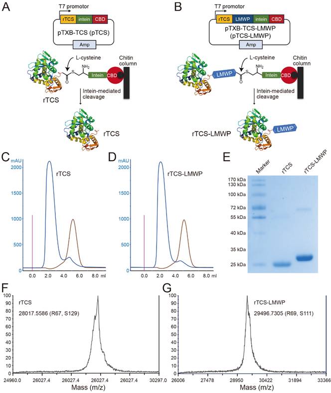 Int J Biol Sci Image