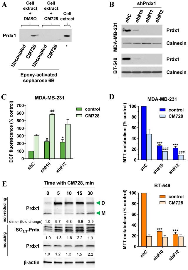 Int J Biol Sci Image