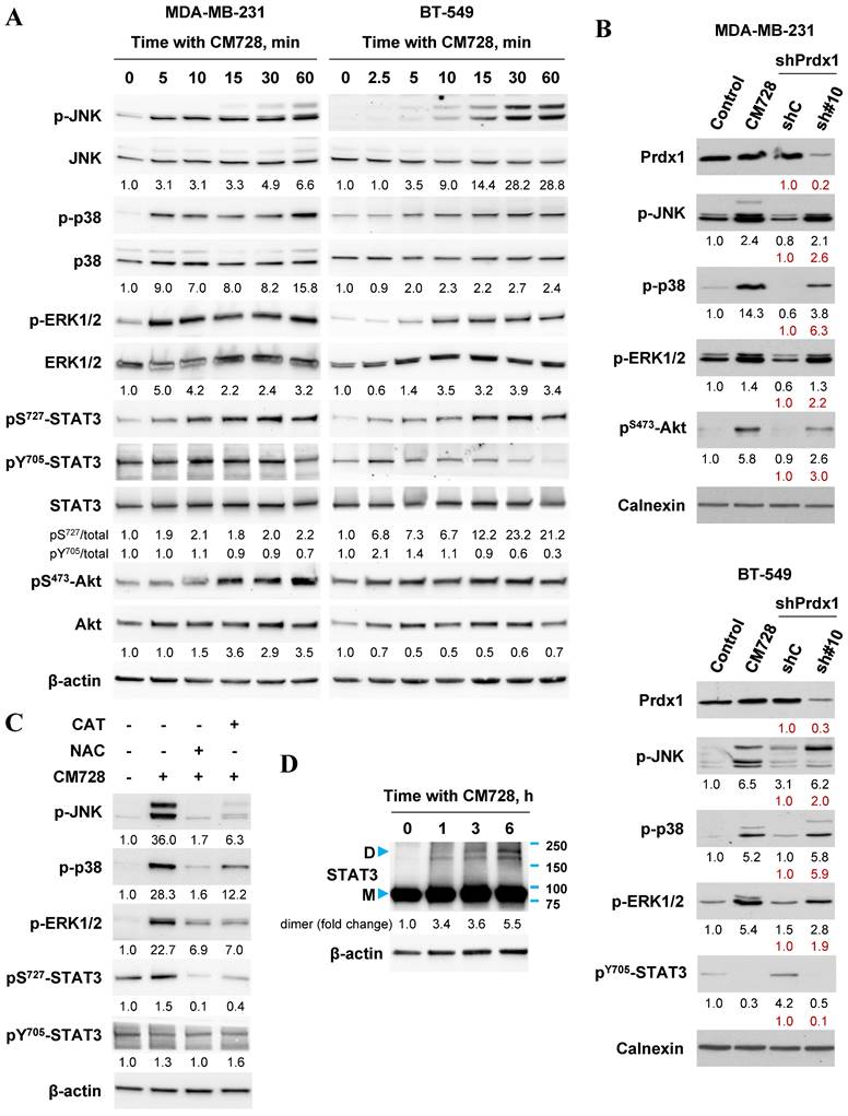 Int J Biol Sci Image