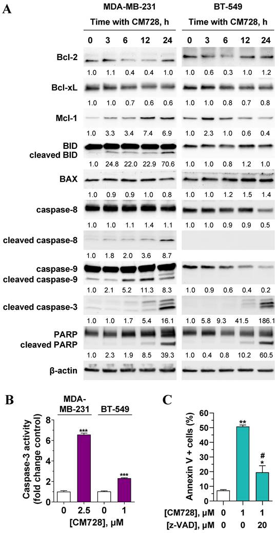 Int J Biol Sci Image