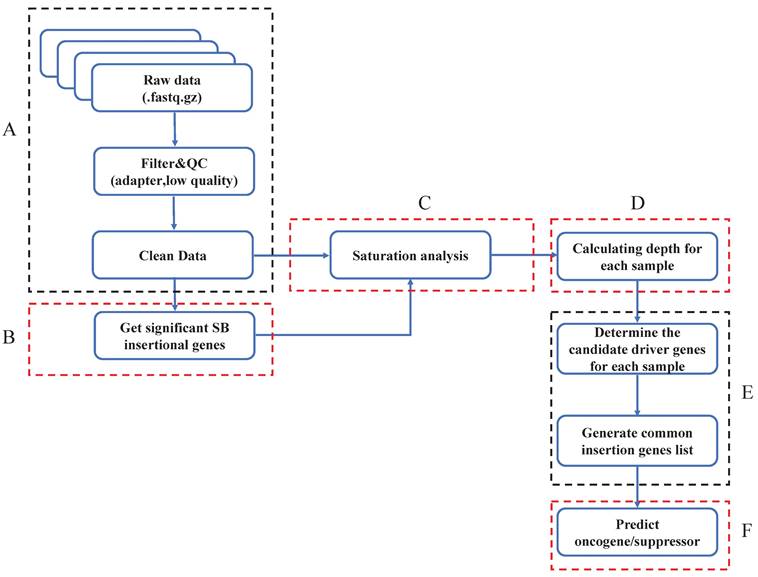 Int J Biol Sci Image