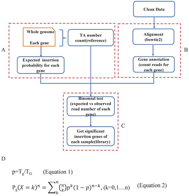 Int J Biol Sci Image