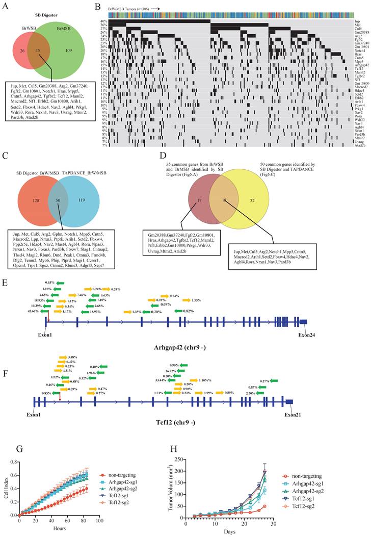 Int J Biol Sci Image