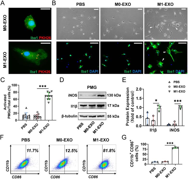 Int J Biol Sci Image