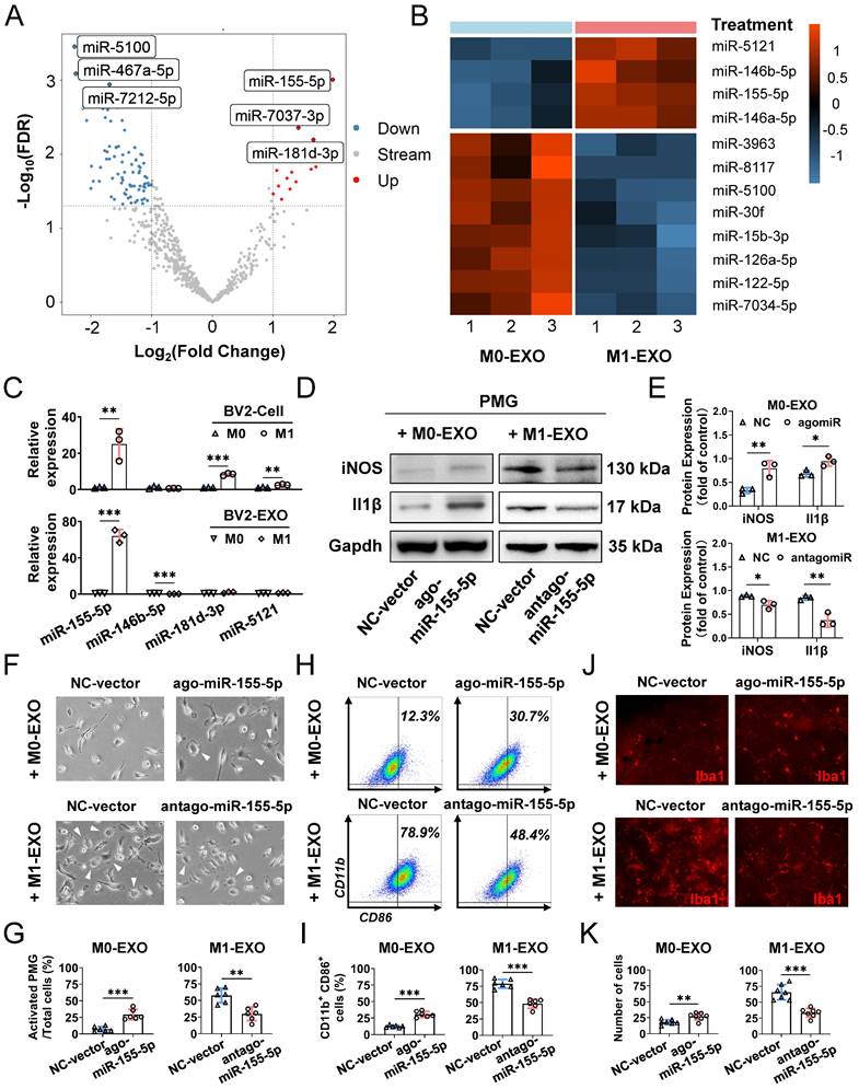 Int J Biol Sci Image