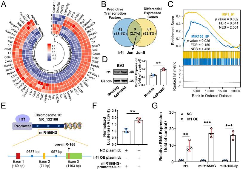 Int J Biol Sci Image